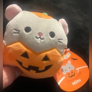 Squishmallows Milto 8-15-2022 Dressed in a Jack -O-Lantern Costume